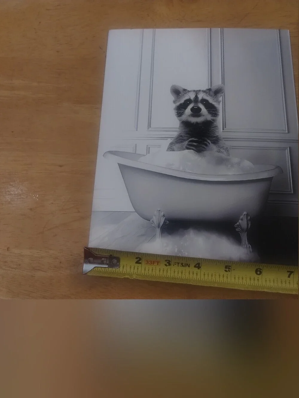 Raccoon Bathroom Wall Art Print Black White Farmhouse Decor Stock Card 8x10